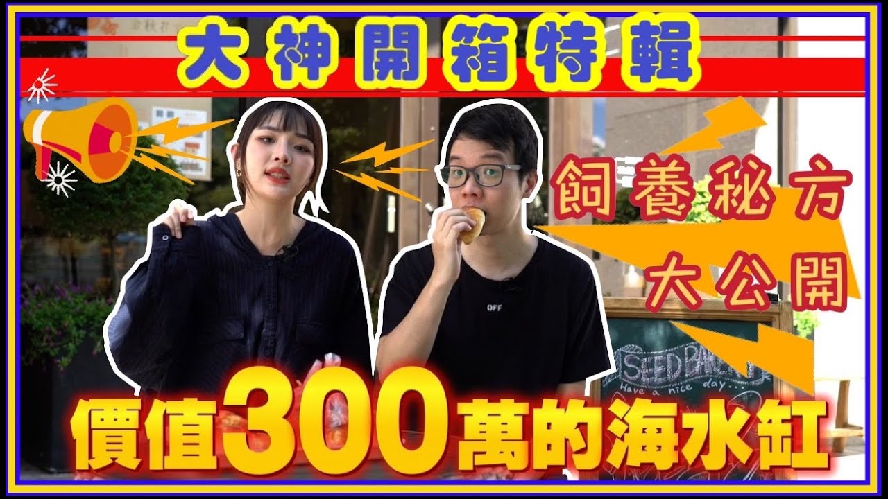 【什麼!!!熱門麵包店樓上竟然藏著300萬的海水缸!!!】薇薇珊瑚大神特輯 #海水缸 #海水魚 #水族館 #水族 #珊瑚 #coral #fish #fishtank #sps #lps