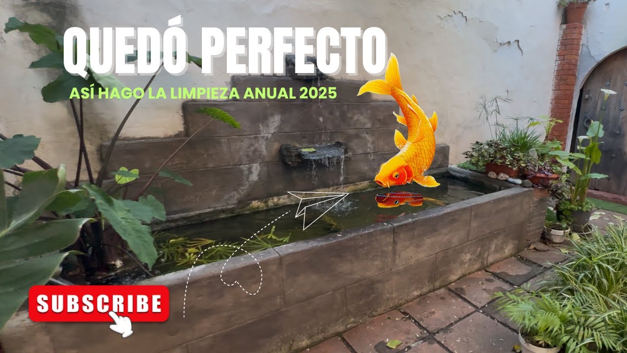Limpieza anual del estanque de MIKA 2025