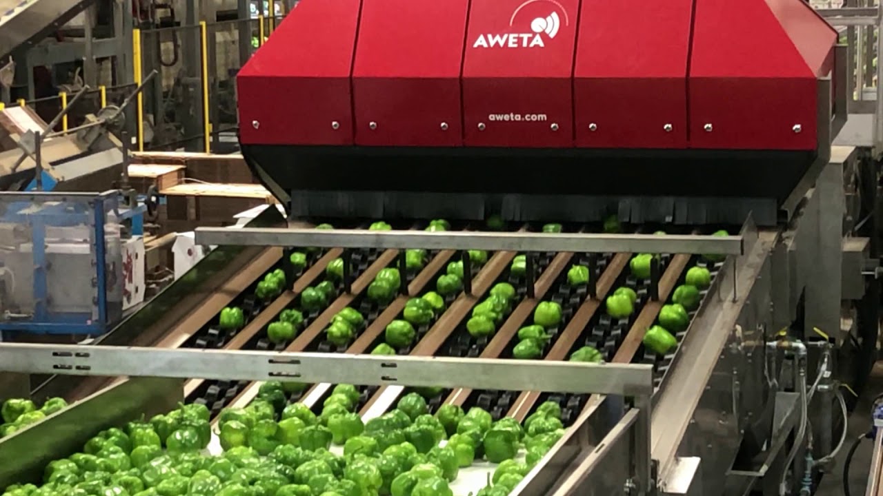 Advanced Vision Hyperspectral Bell Peppers