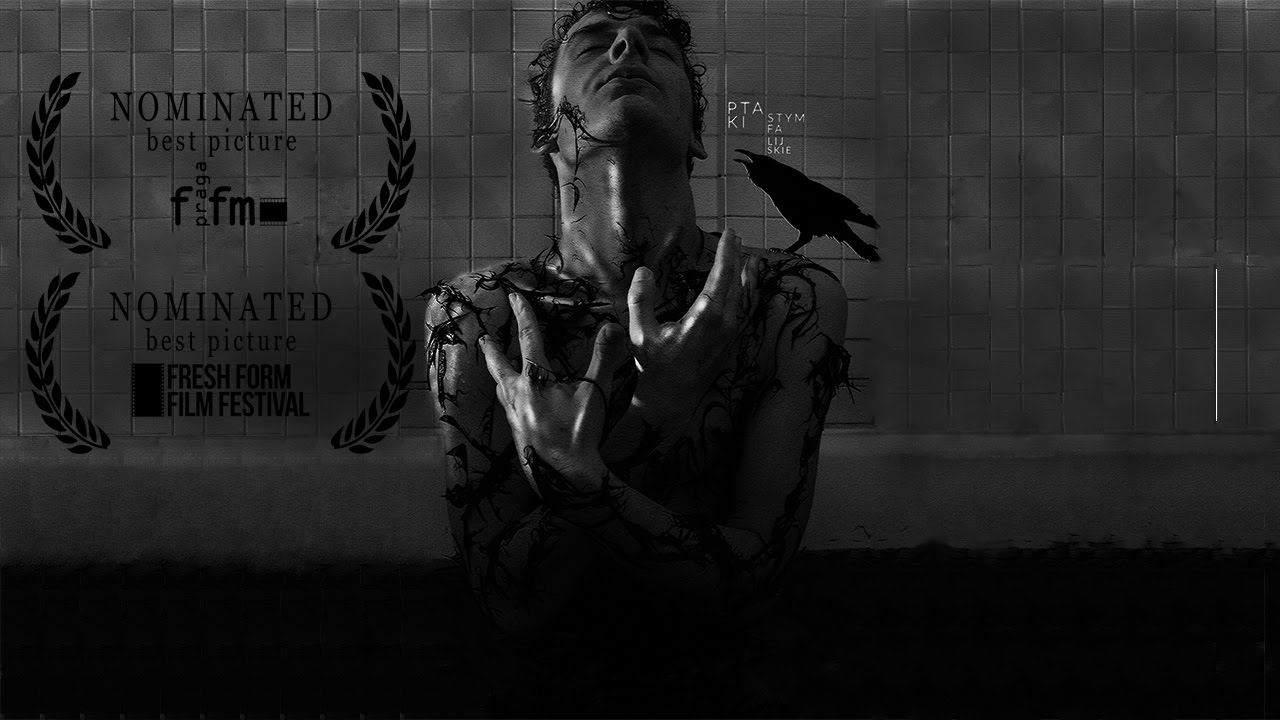 PTAKI STYMFALIJSKIE - film krótkometrażowy (2017) [PL/ENG]