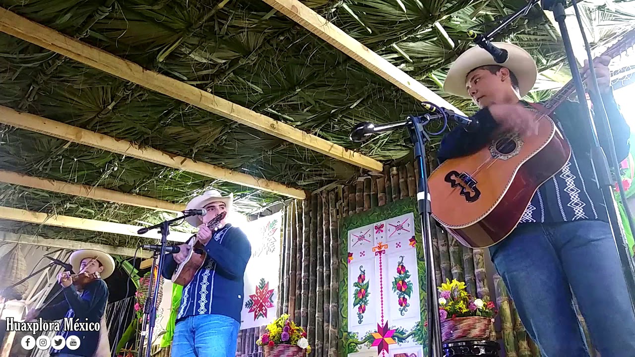 El sacamand&uacute; | Trio Paletas y sus Huastecos | Huapangos Huastecos
