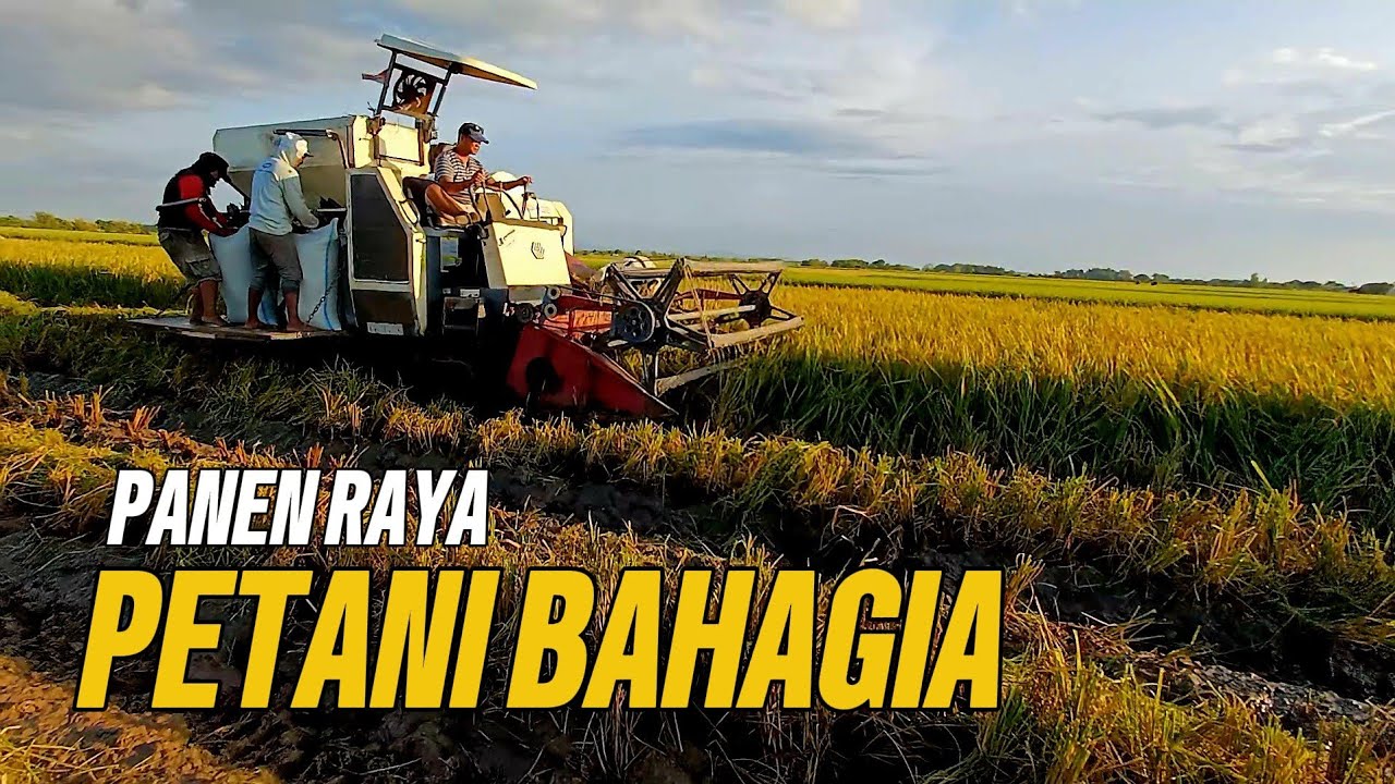 PANEN RAYA PETANI BAHAGIA, KOMBI BIMO 102 TANCAP GAS 