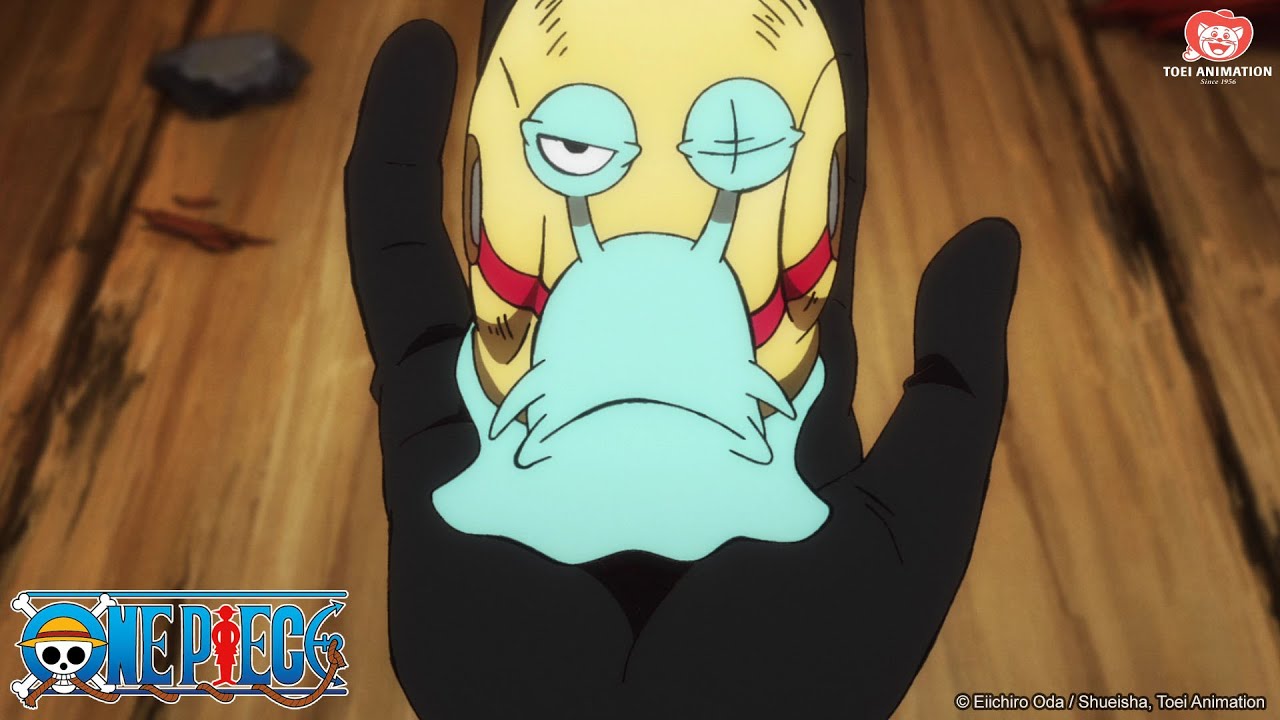 La promessa di Zoro | One Piece