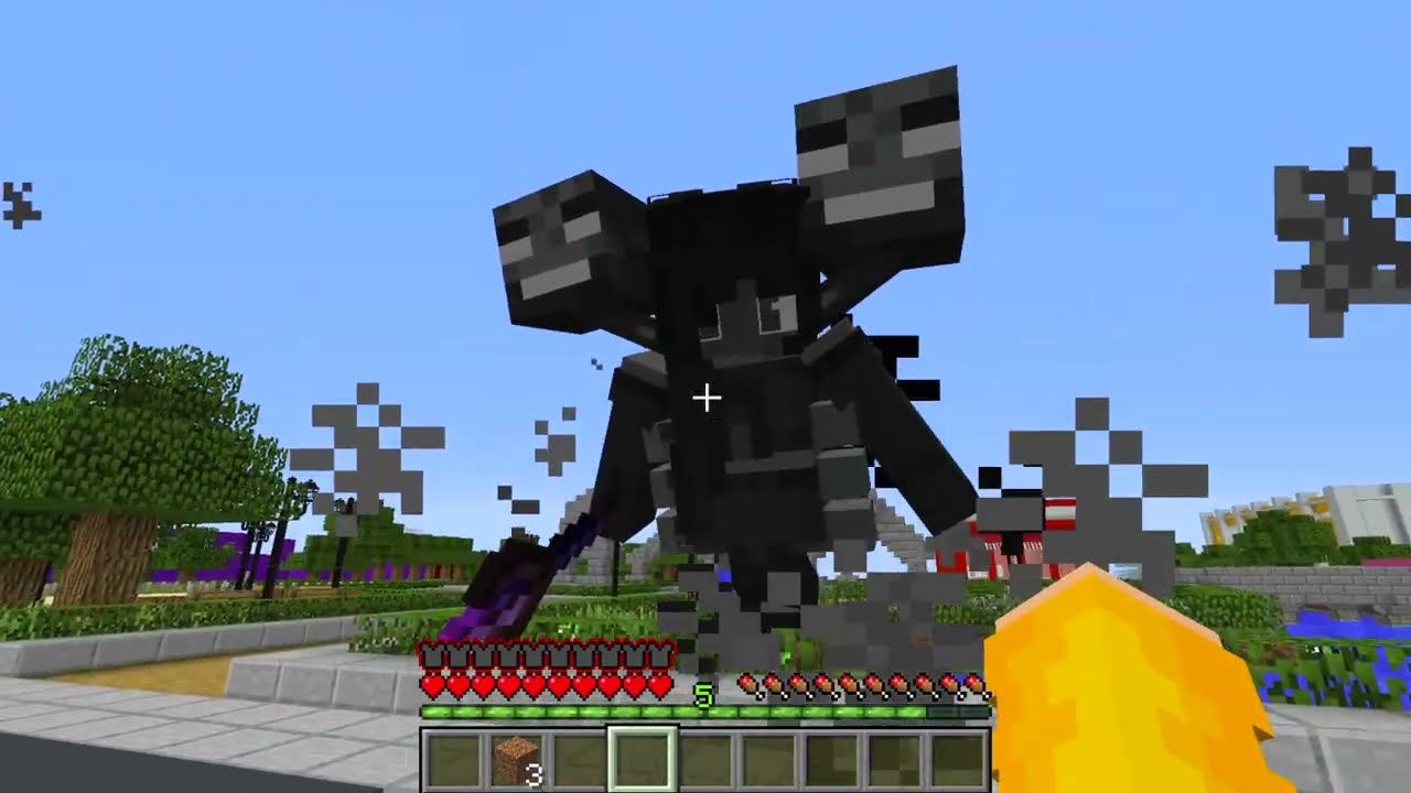GAROTA WITHER está APAIXONADA POR MIM no Minecraft