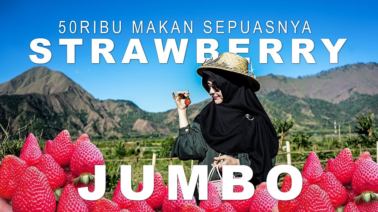 STRAWBERRY SEMBALUN | EXPLORE LOMBOK