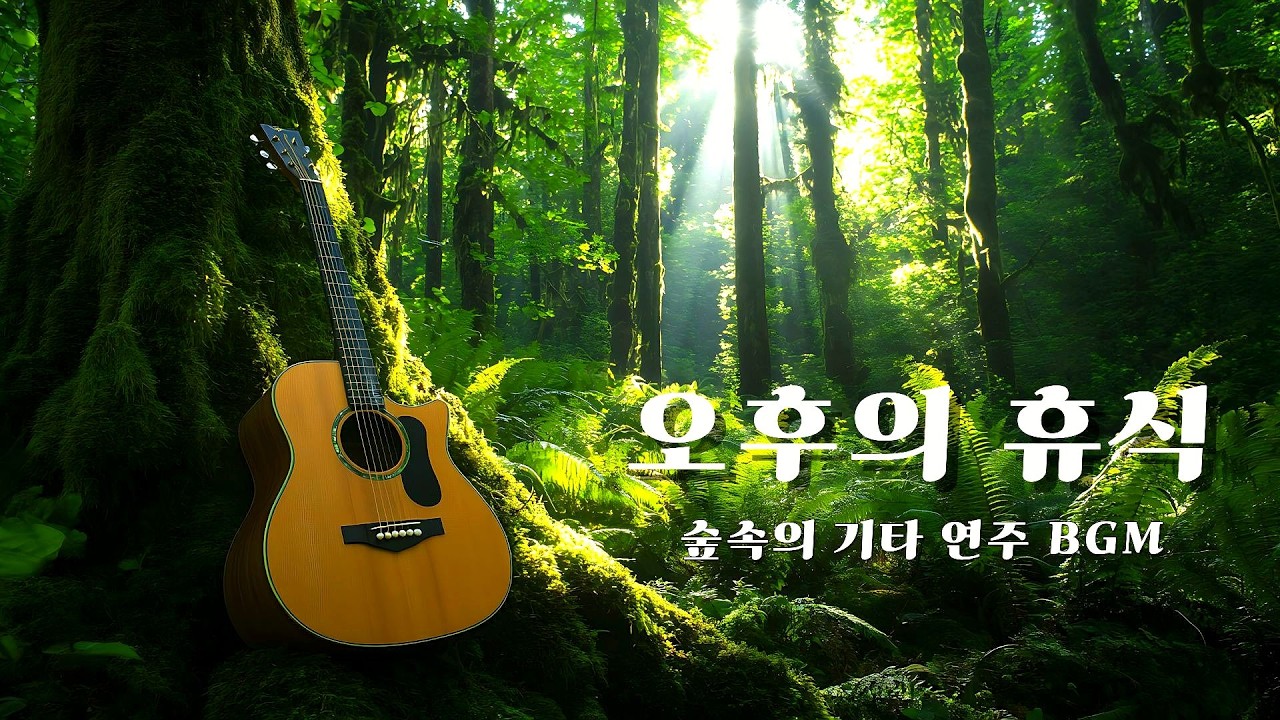 복잡한 생각 비우고 싶을 때 들으세요. 뇌가 맑아지는 숲속 기타 연주 [마음치유/수면음악]