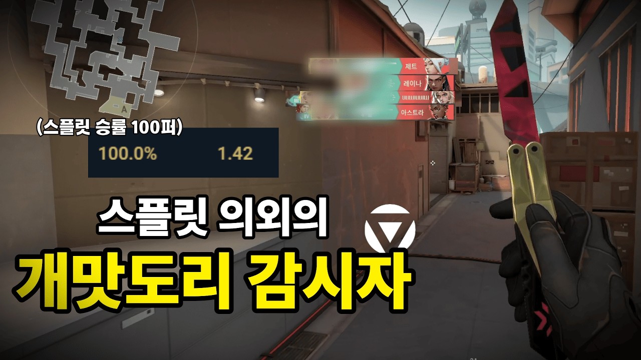 스플릿에서 써보면 너무 좋아서 중독되는 의외의 감시자