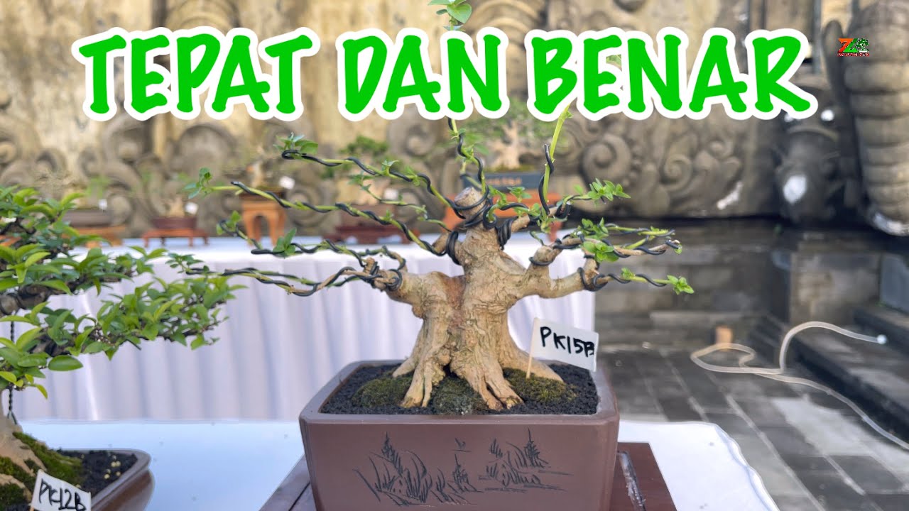 DASAR YANG HARUS DI PELAJARI