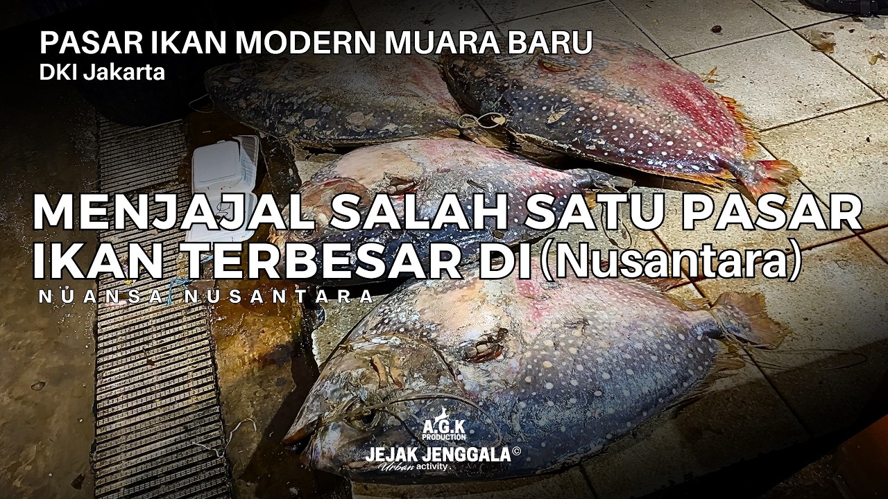 Pasar Ikan Modern Muara Baru | Menjajal Salah Satu Pasar Ikan Terbesar Di Nusantara | Jejak Jenggala
