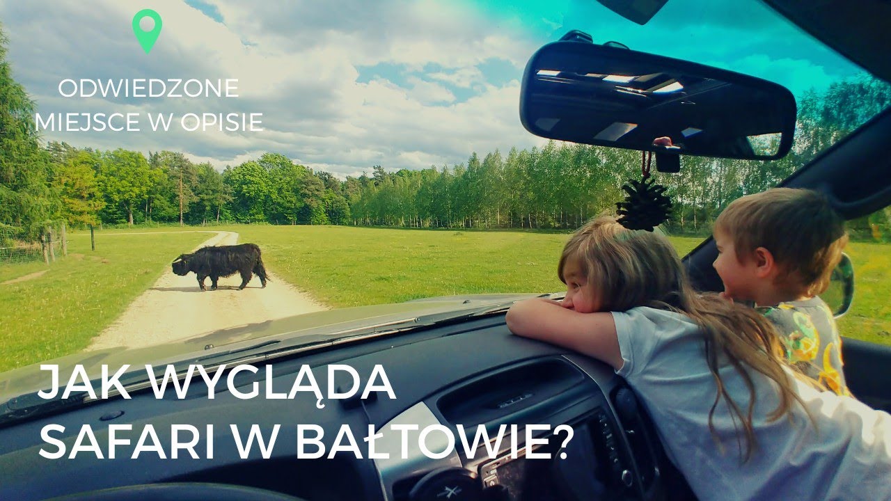 Własnym samochodem przez Bałtowski Zwierzyniec  || BUTAKA TRAVEL FAMILY