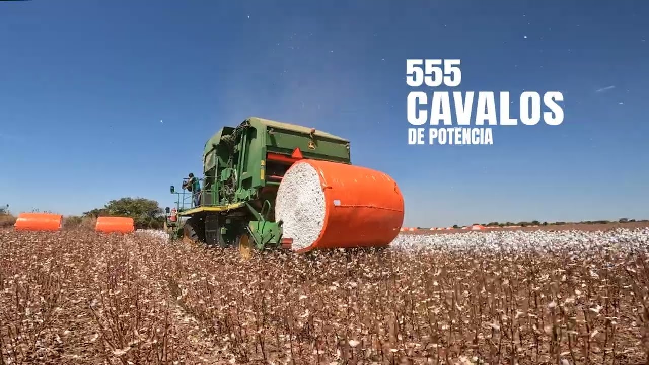 Qual a origem do algod&atilde;o da sua roupa? #JORNADADOALGOD&Atilde;O