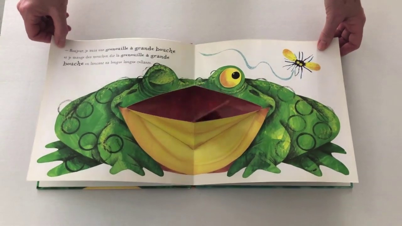 La Grenouille à Grande Bouche