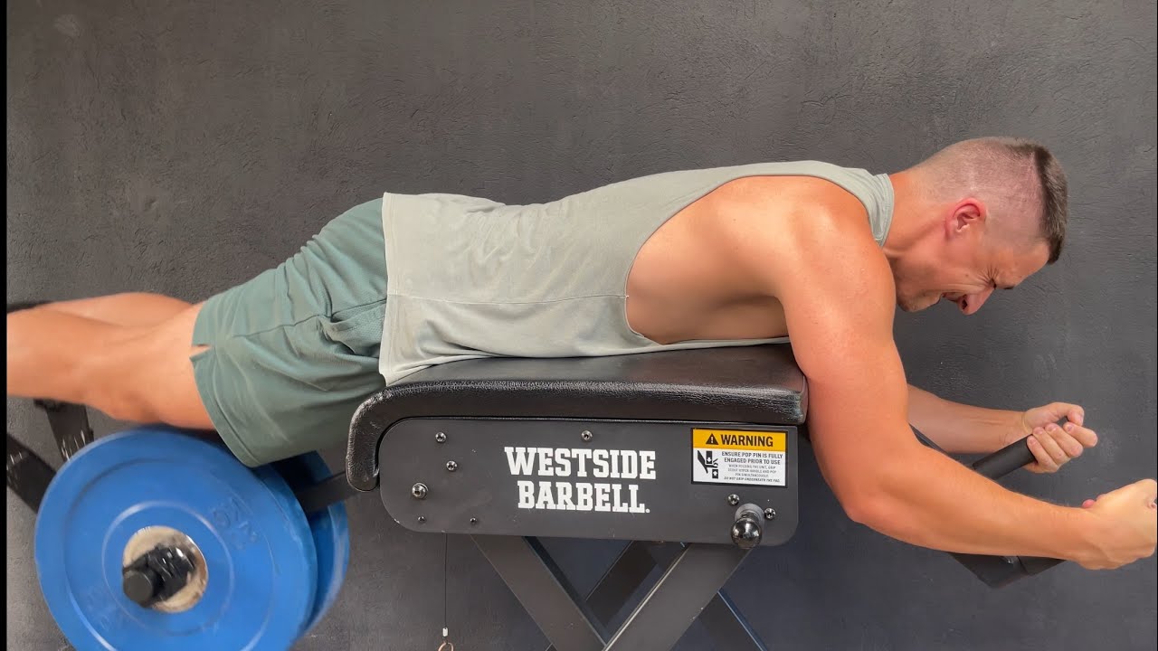 Squat everyday Day 2245: I got a Reverse Hyper 