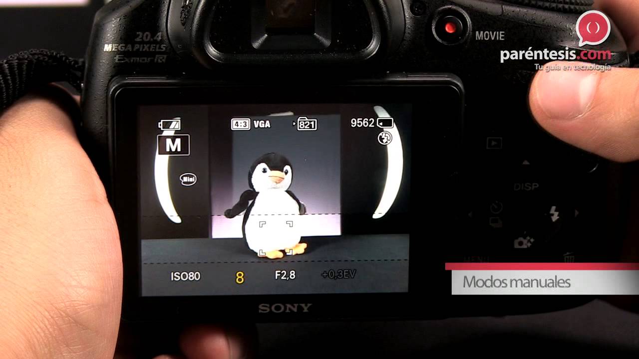 Reseña en video de la Cámara digital Sony Cyber-shot (DSC - HX300)