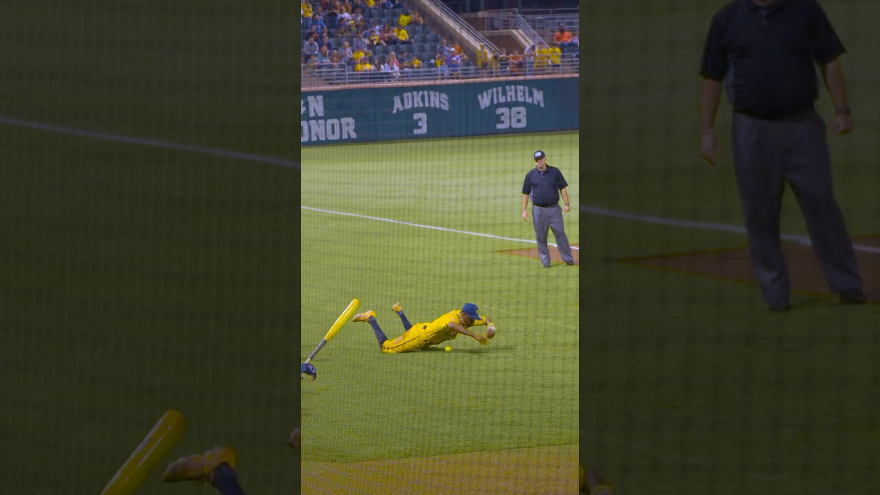 You okay over there? @FlashThaKid_ #foulball #funny #heartbeat #savannahbananas #clemson #baseball
