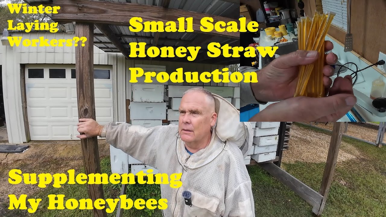 Making Honey Straws on a Small Scale | Feeding Them Bees