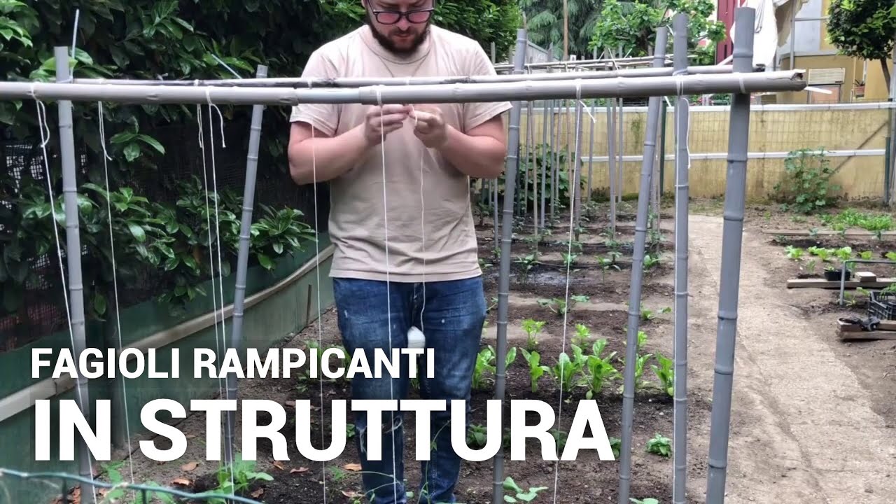 Il Mio Primo ORTO | Legatura Dei Fagioli 🥕🥦🍅