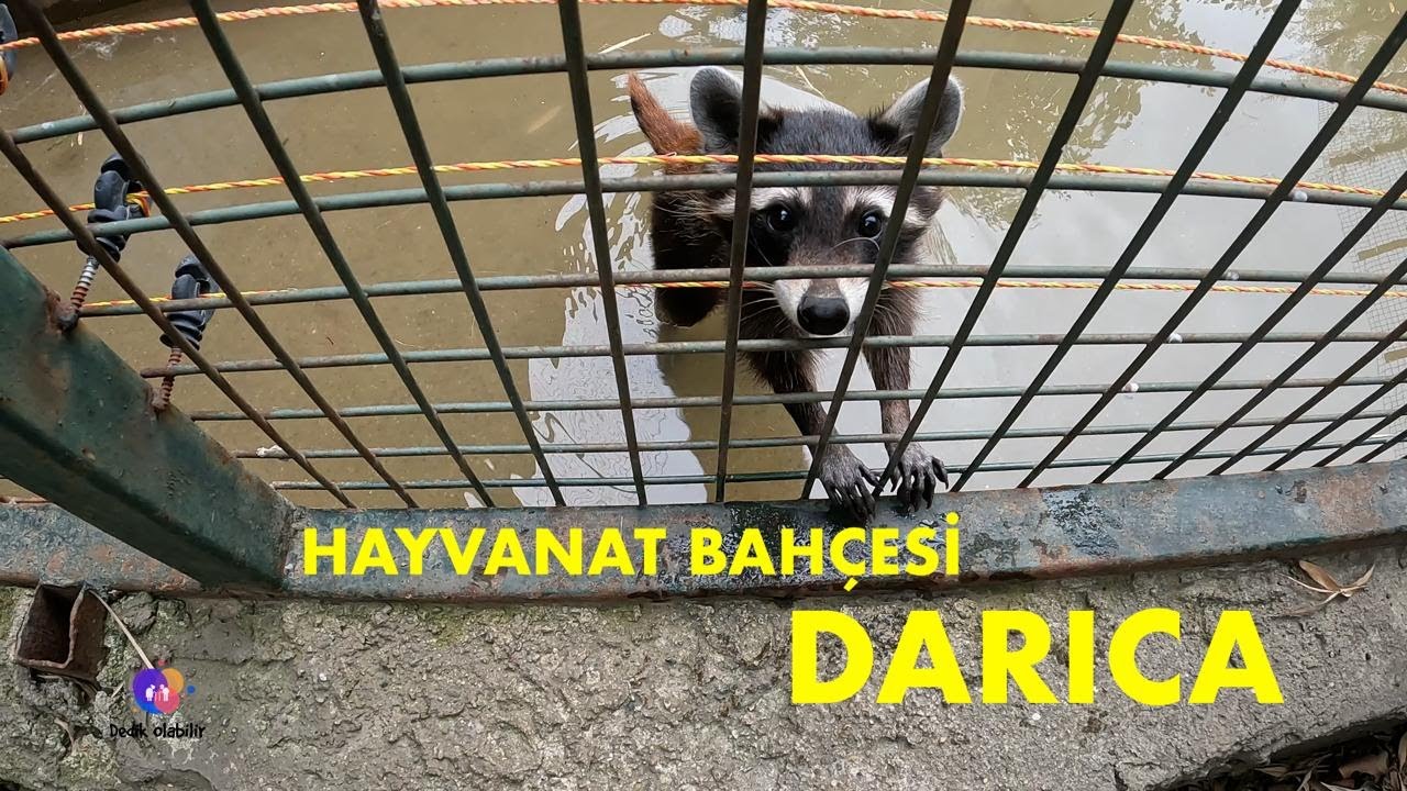 Darıca Hayvanat Bahçesi .vlog