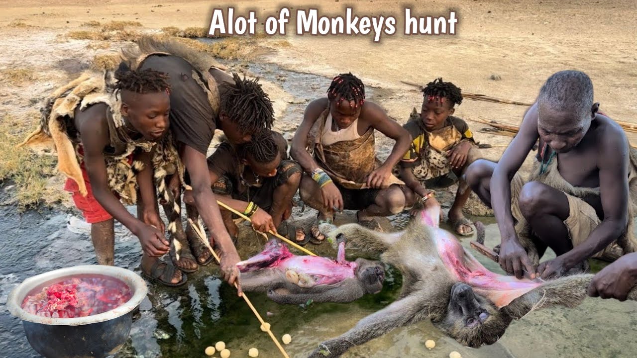 Witness Hadzabe Tribe Massive Baboon Monkey Hunts & Wild Cooking || True Bushmen Africa
