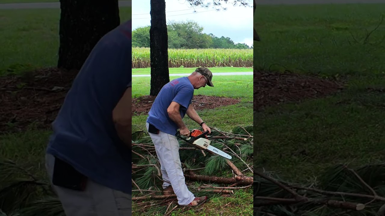 Stihl MS 170 & Storm Damage