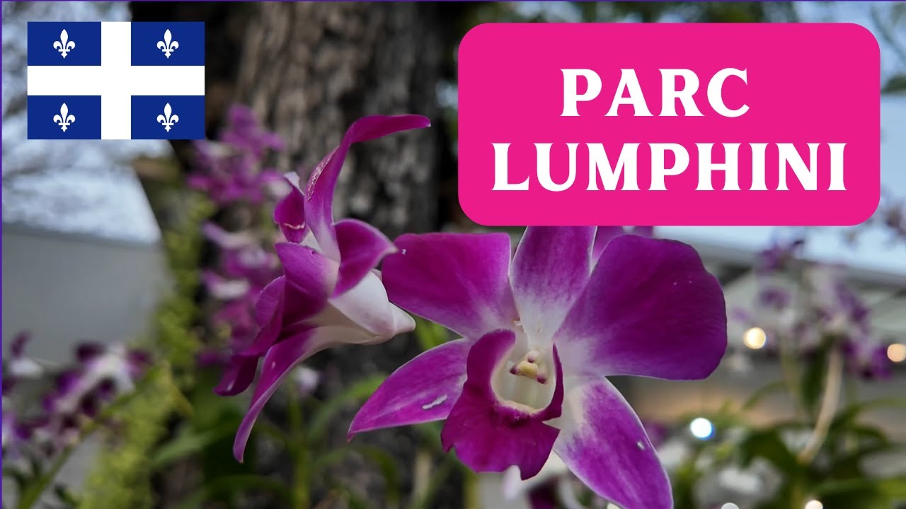 LE PARC LUMPHINI &Agrave; BANGKOK - Intermediate Quebec French with Subtitles | Frenchpresso