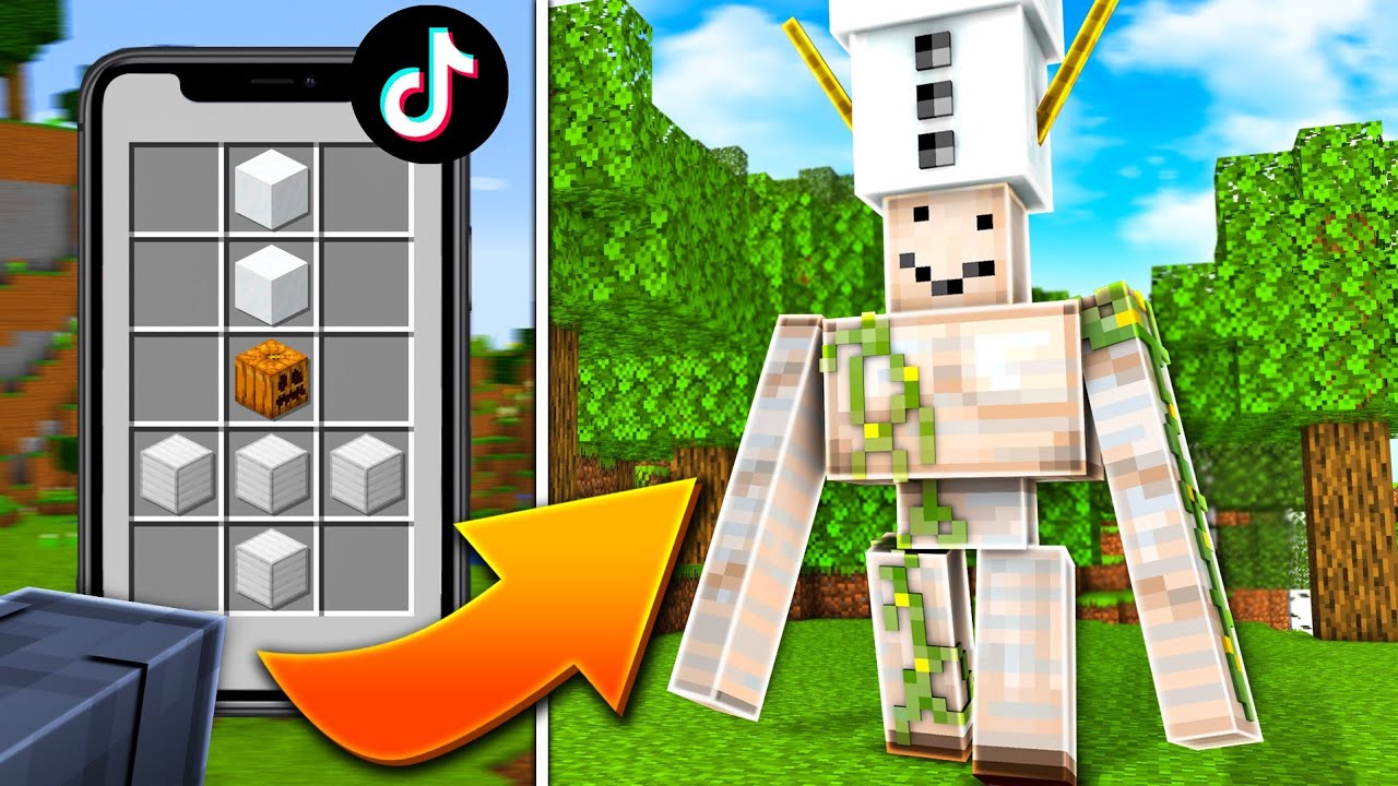 Ich teste 9 VIRALE MINECRAFT TIKTOKS, die Jeder glaubt!