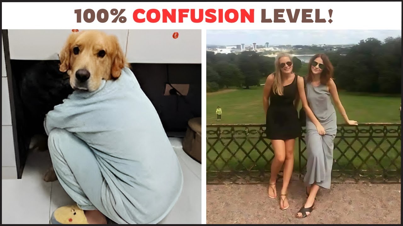 The Best of Confusing Photos You Need To Look At Twice To Understand