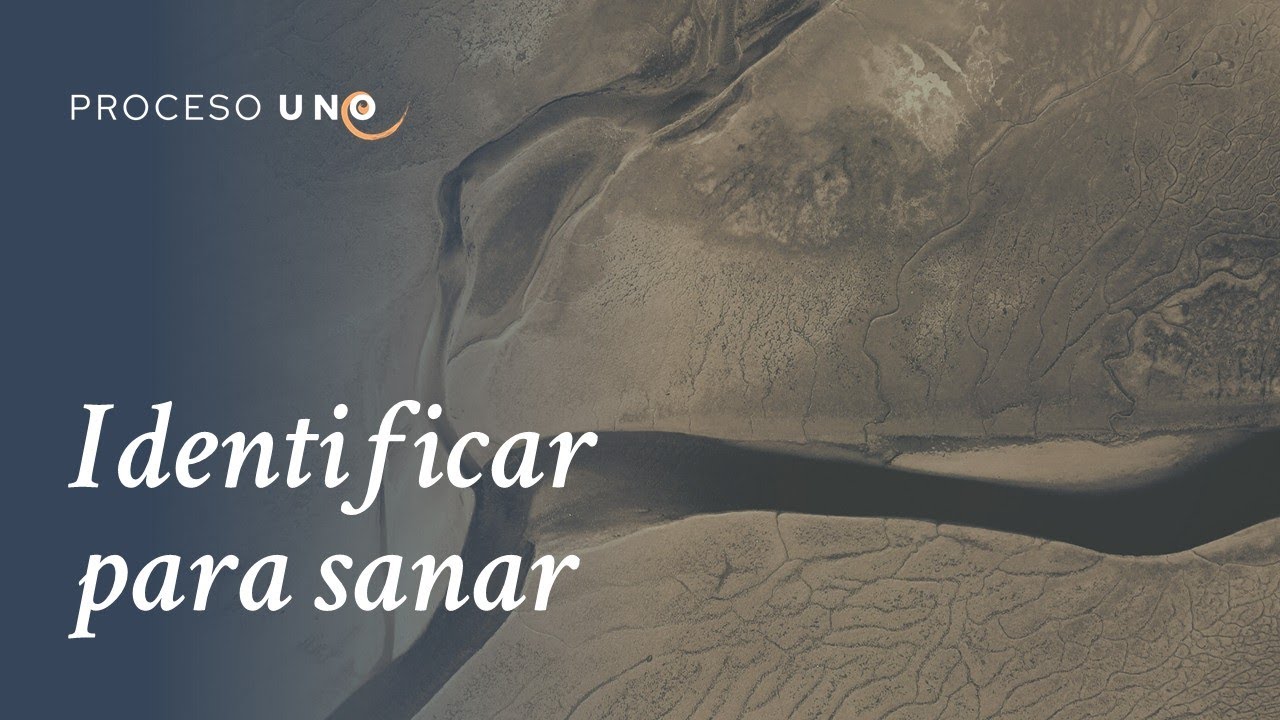 Identificar para Sanar: El Primer Paso hacia tu Curación. José Luis Gil Monteagudo.