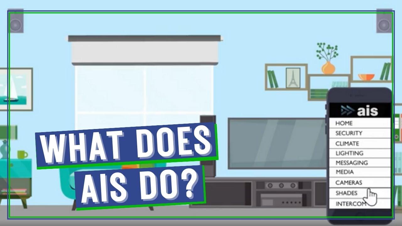 What Does AIS Do?