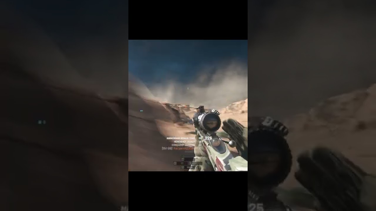 Sniper rifle SV-98