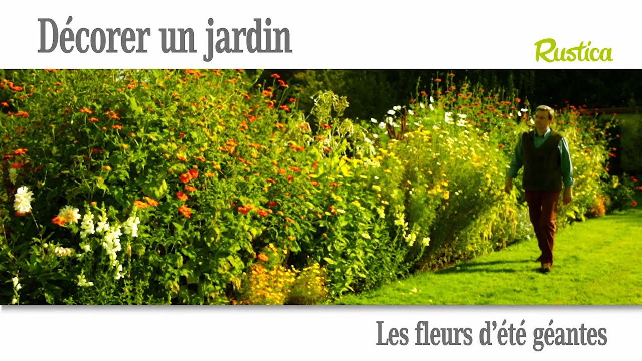 Les fleurs d’été géantes
