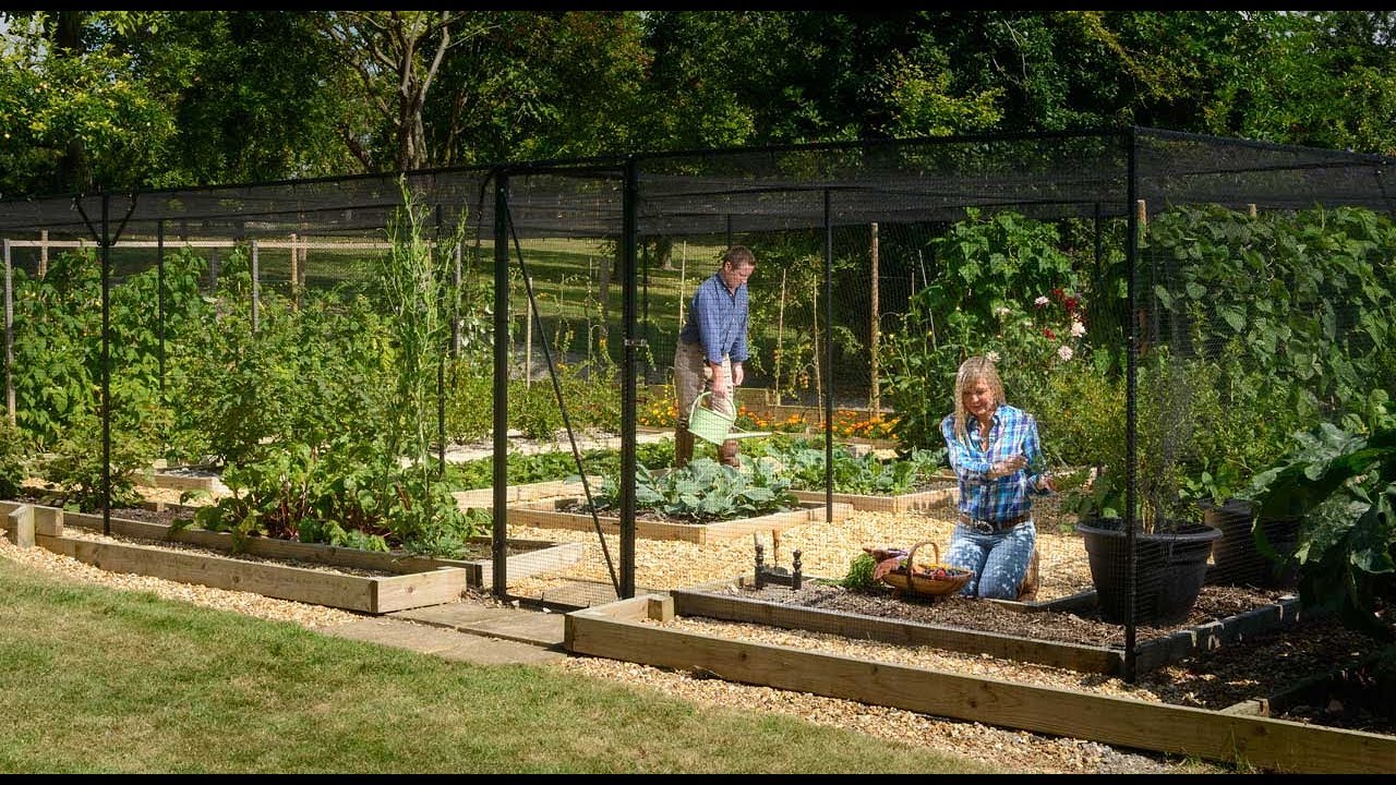 Steel Fruit Cage - Why it's most professionals' choice.