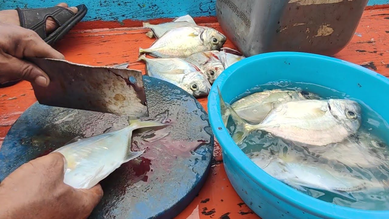 ikan petek gulai pedas dan ikan selar goreng 