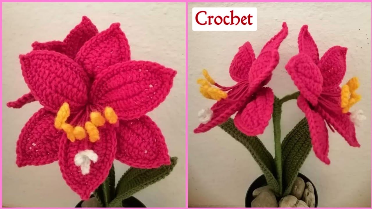 Crochet Amaryllis flowers