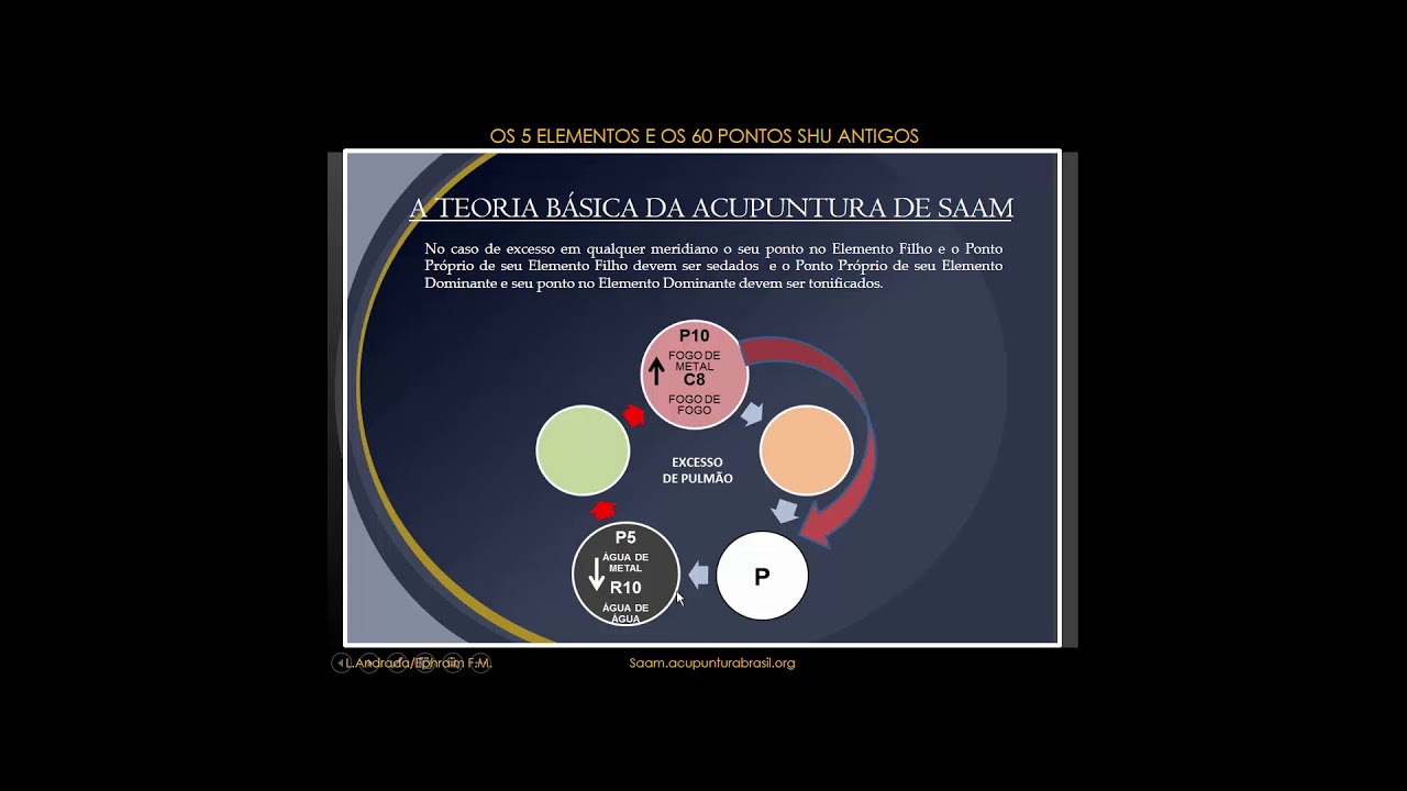 A Teoria Básica da Acupuntura Saam (舍岩道人/사암)