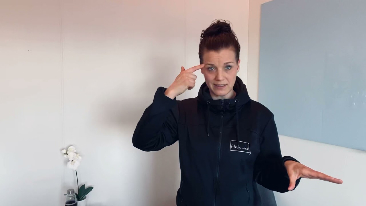 Kort introduktion till de tre principerna