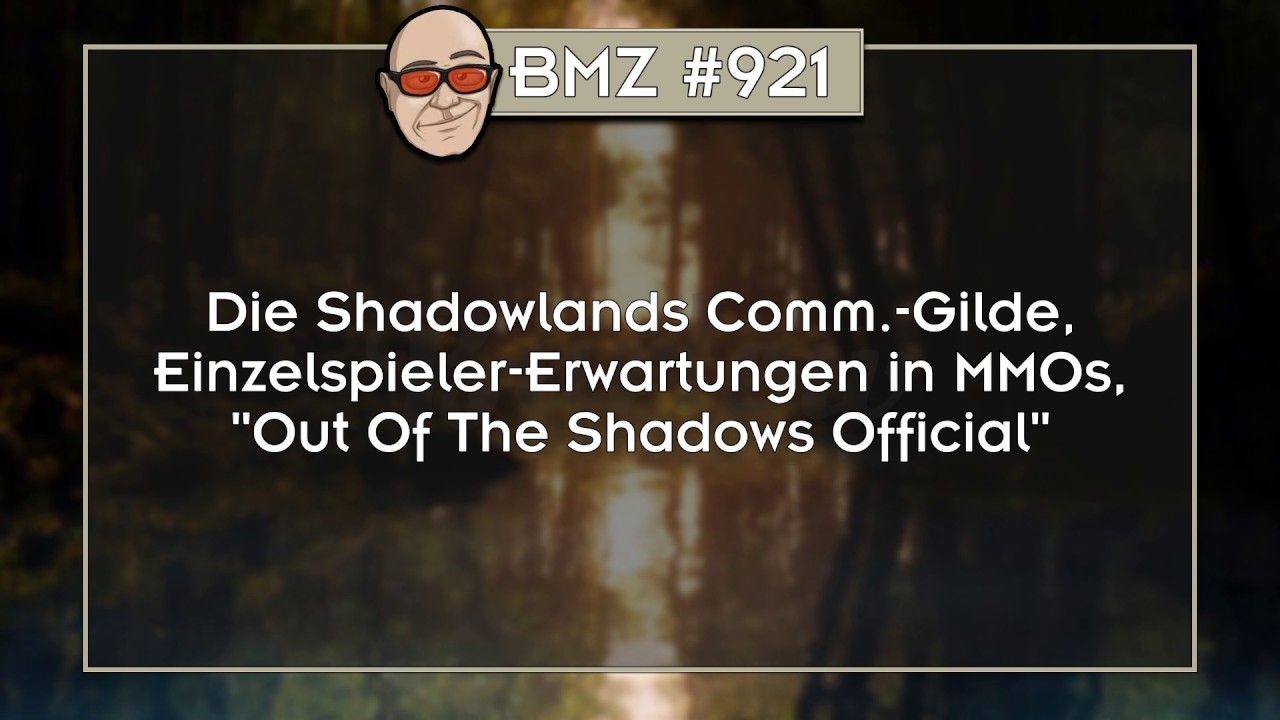 BMZ #921: Die Shadowlands Com.-Gilde,Einzelspieler-Erwartungen in MMOs,
