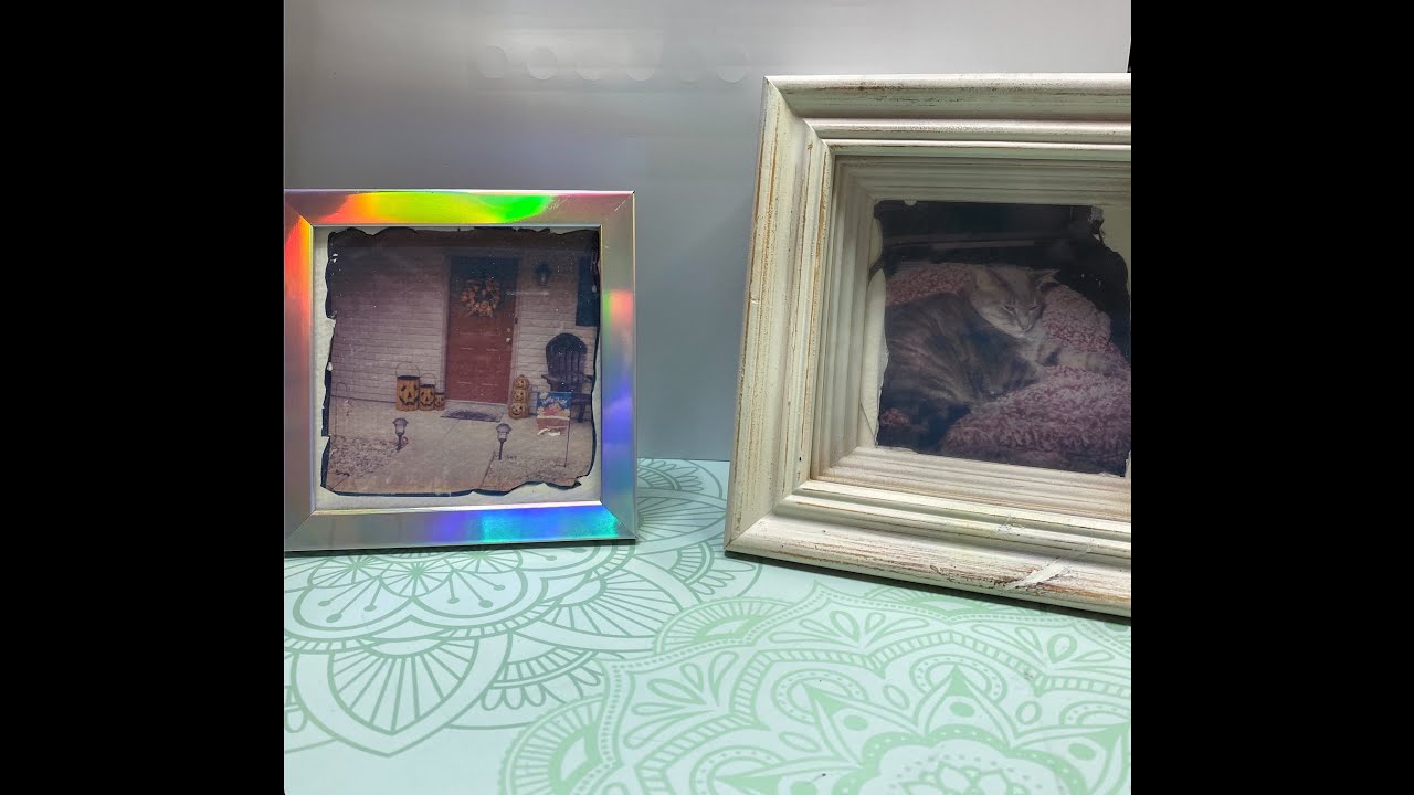 Polaroid Emulsion lift