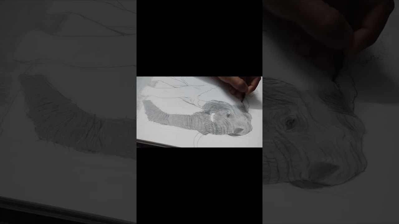How to draw hyperrealiastic elephant🐘