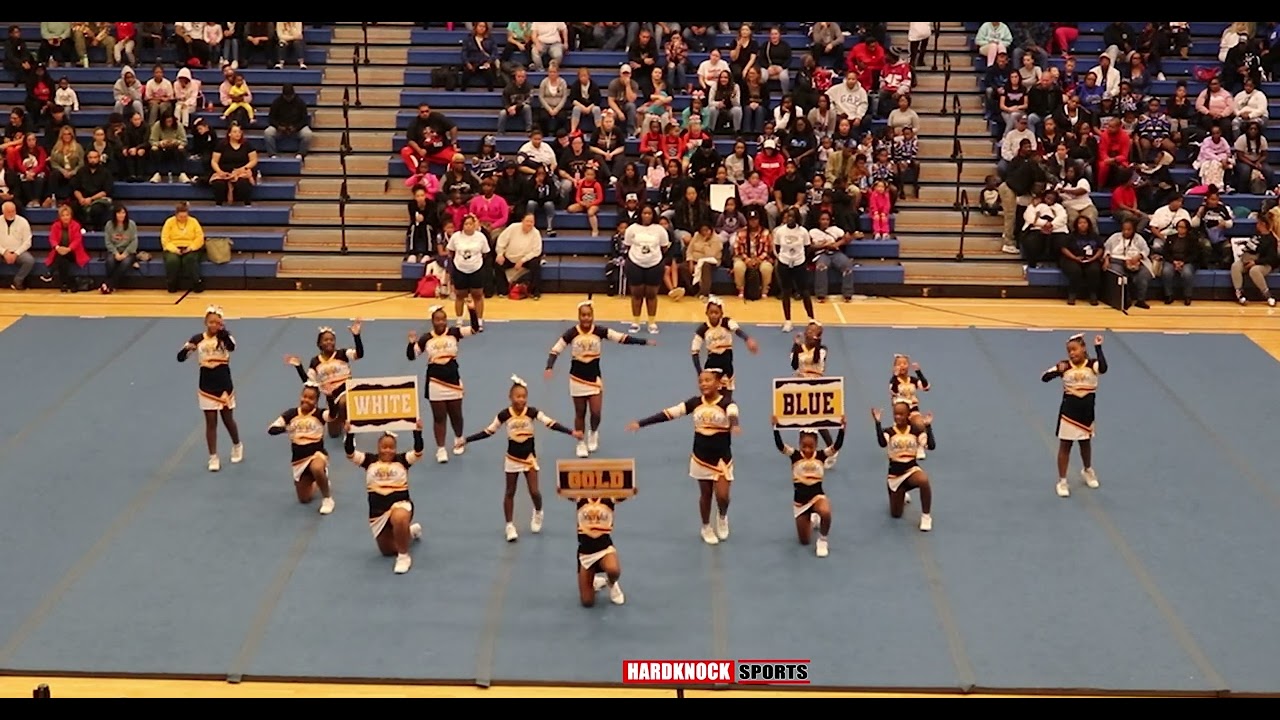 mifflin sharks - Junior cheer