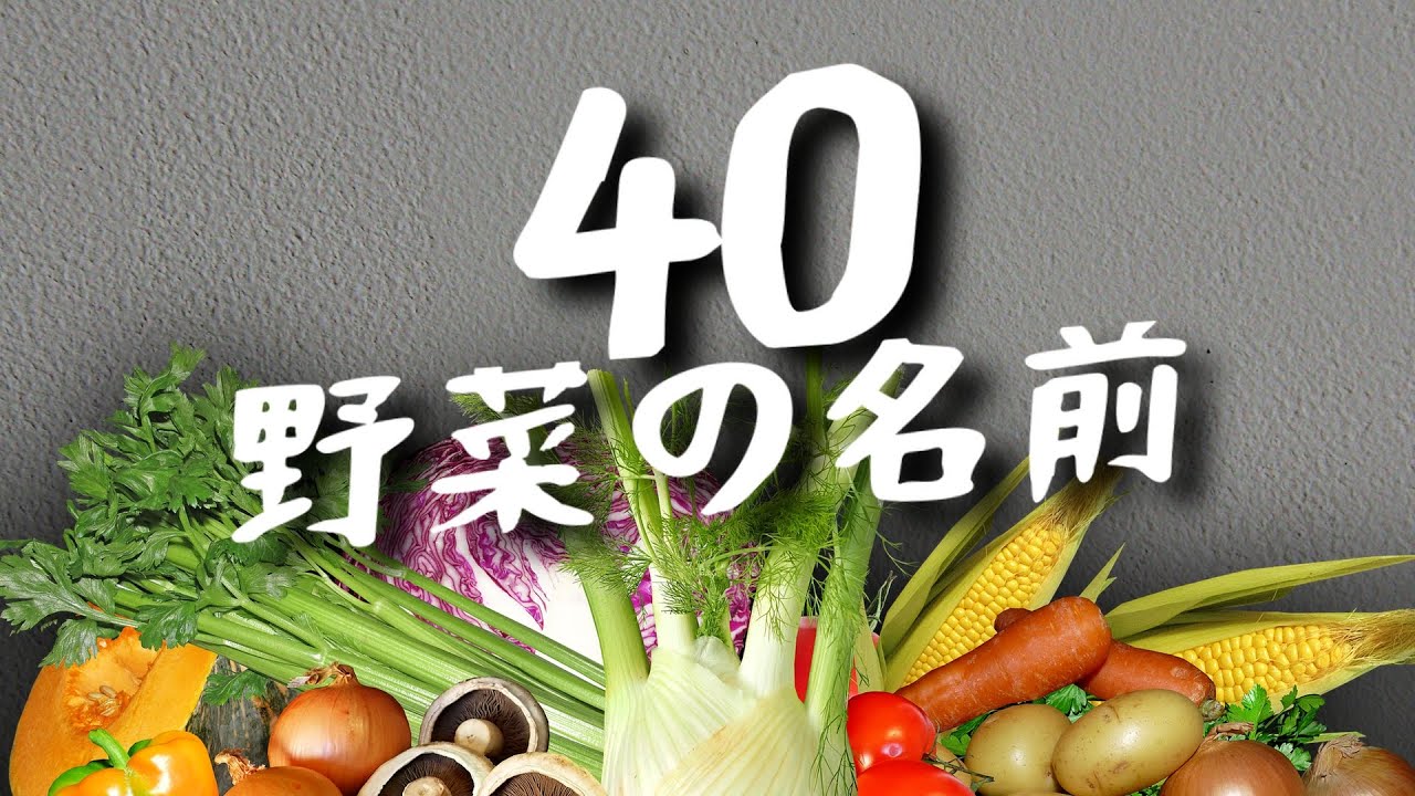 常見蔬菜日語你會幾個?  看圖學會日語單字 | 蔬菜單字 | Ep.165