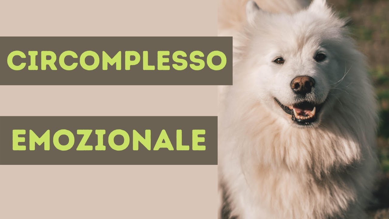 Circomplesso Emozionale [Arousal, Stress, Apprendimento]