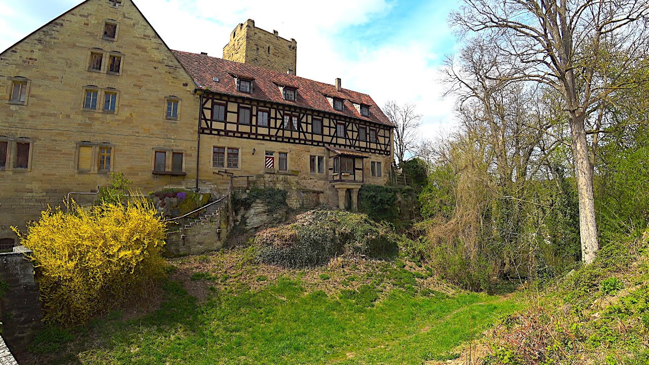 🌿 Exploring Nordheim | Vineyards, Forests & Meadows