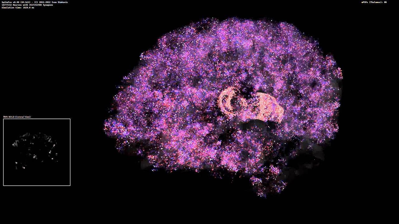 Artificial Brain Simulation - Thalamocortical System, 3.5 Billion Synapses, 16.7 Million Neurons