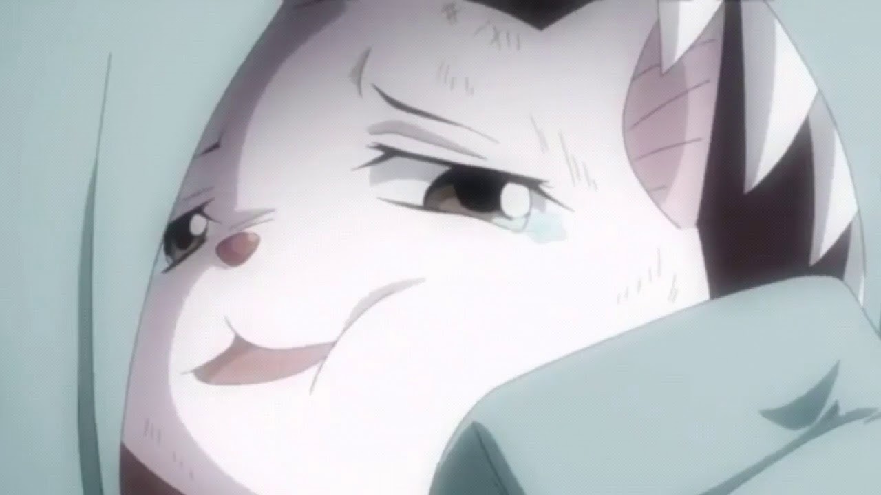 Fairy tail amv - ending 9 ( kono te nobashite )