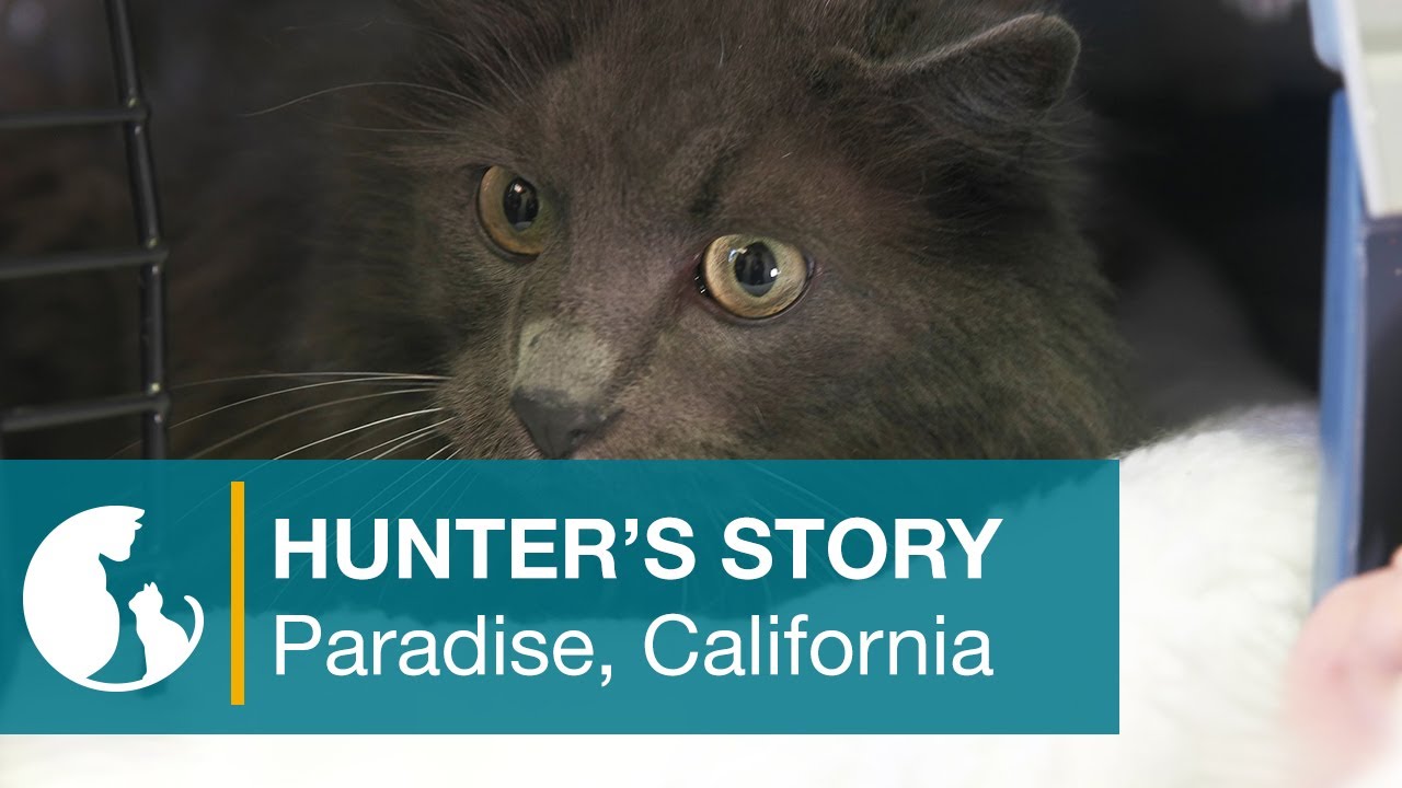 Hunter's Story - Paradise, California