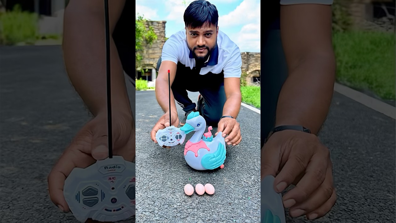 Naya RC Egg Laying Duck 🦆 unboxing & testing 😅