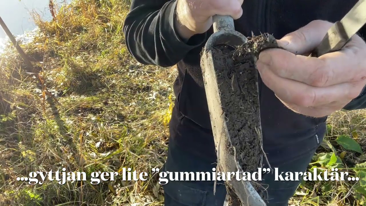 Jordart som är spår efter sjön. Gyttjelera, lergyttja och gyttja. Geologen Mange Magister förklarar!