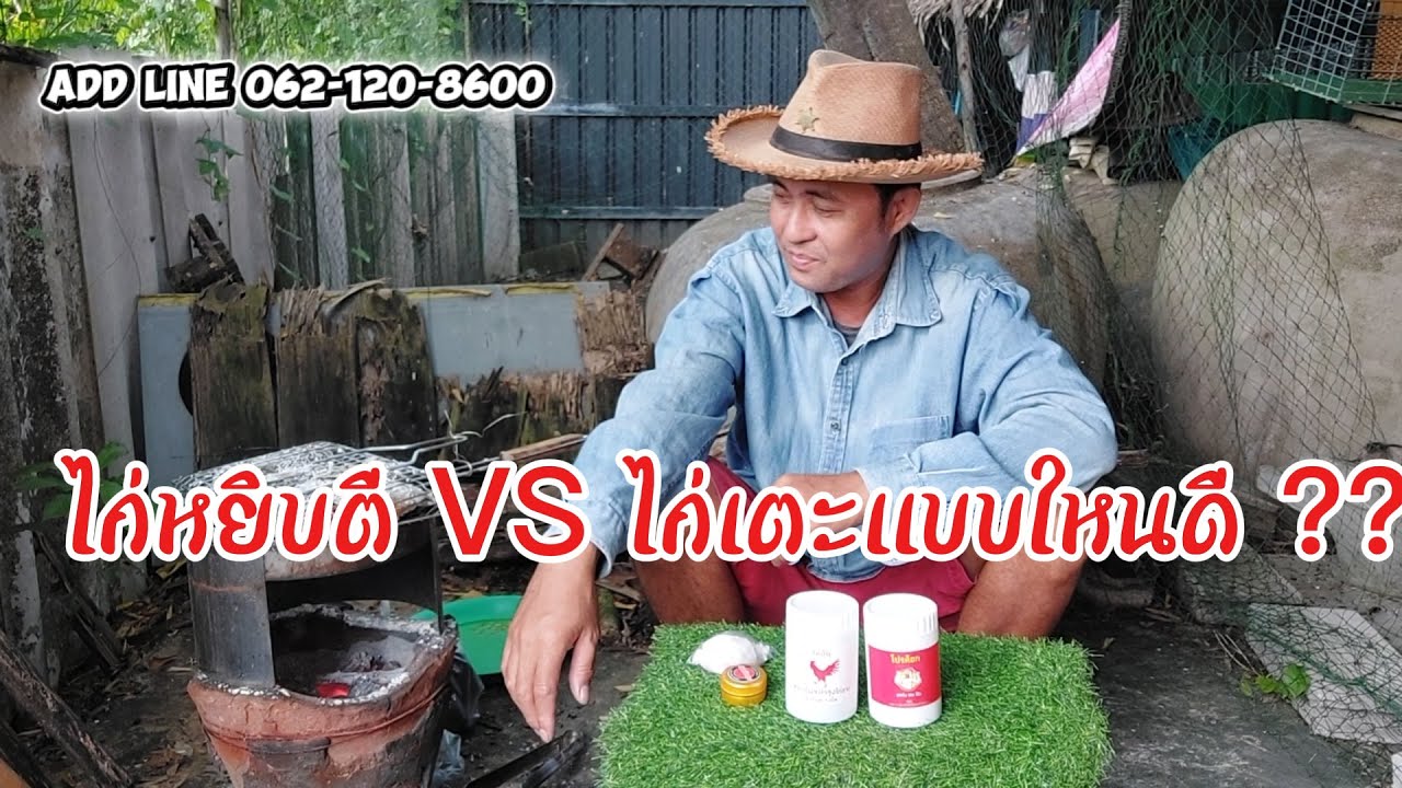 ไก่เตะแข้งหน้า หรือไก่หน้้าหงอนดี ???