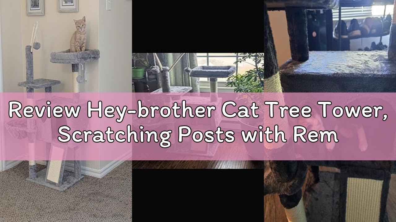 Review Hey-brother Cat Tree Tower, Scratching Posts with Removable Toys, Cozy Condo, Platform, Hammo